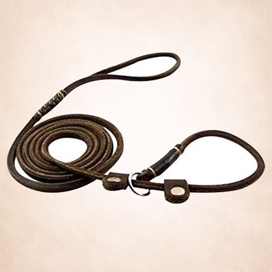 Leather Slip Lead