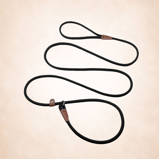 Nylon Slip Lead