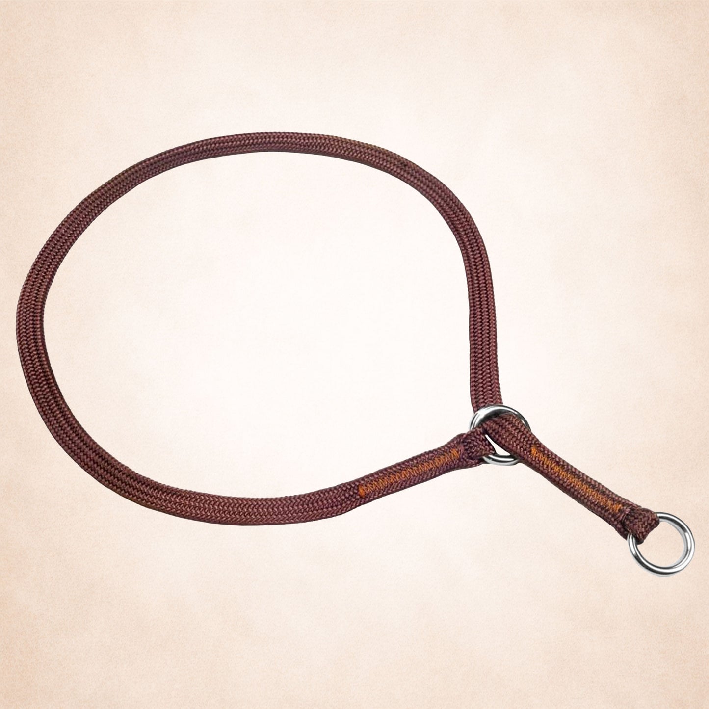 Braided Nylon Slip Collar