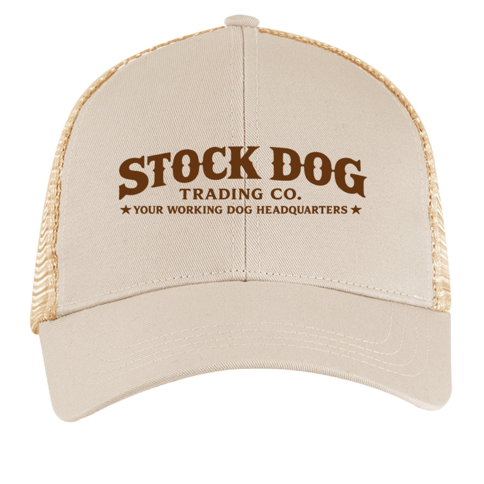 OYSTER / OYSTER - FRONT